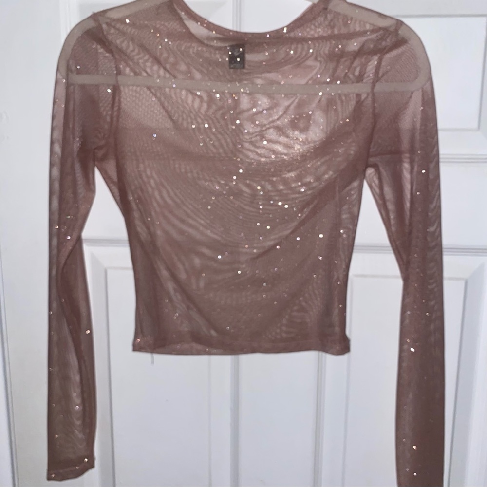 Sheer Long sleeve crop top